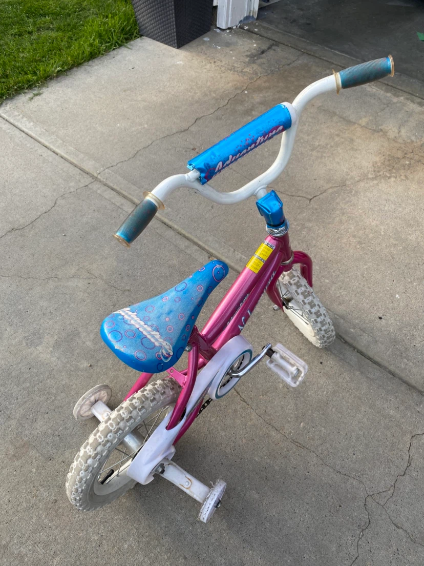 Nakamura Adventure Kids Bike with Training Wheels - photo 3