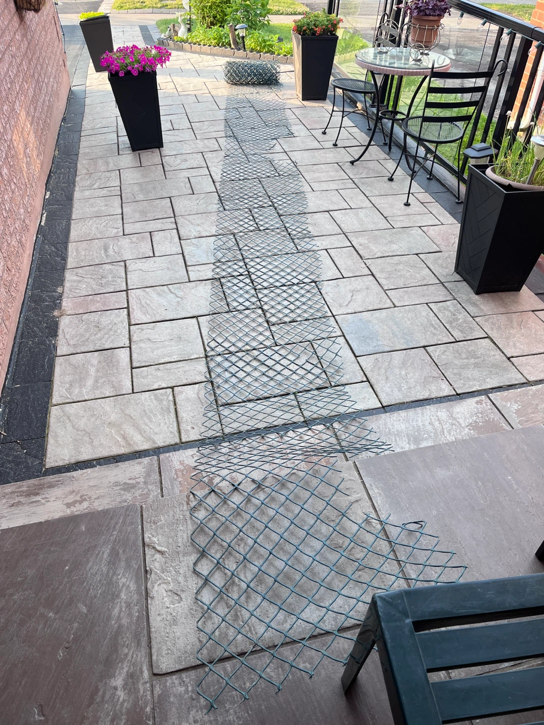 Green Wire Mesh - photo 2
