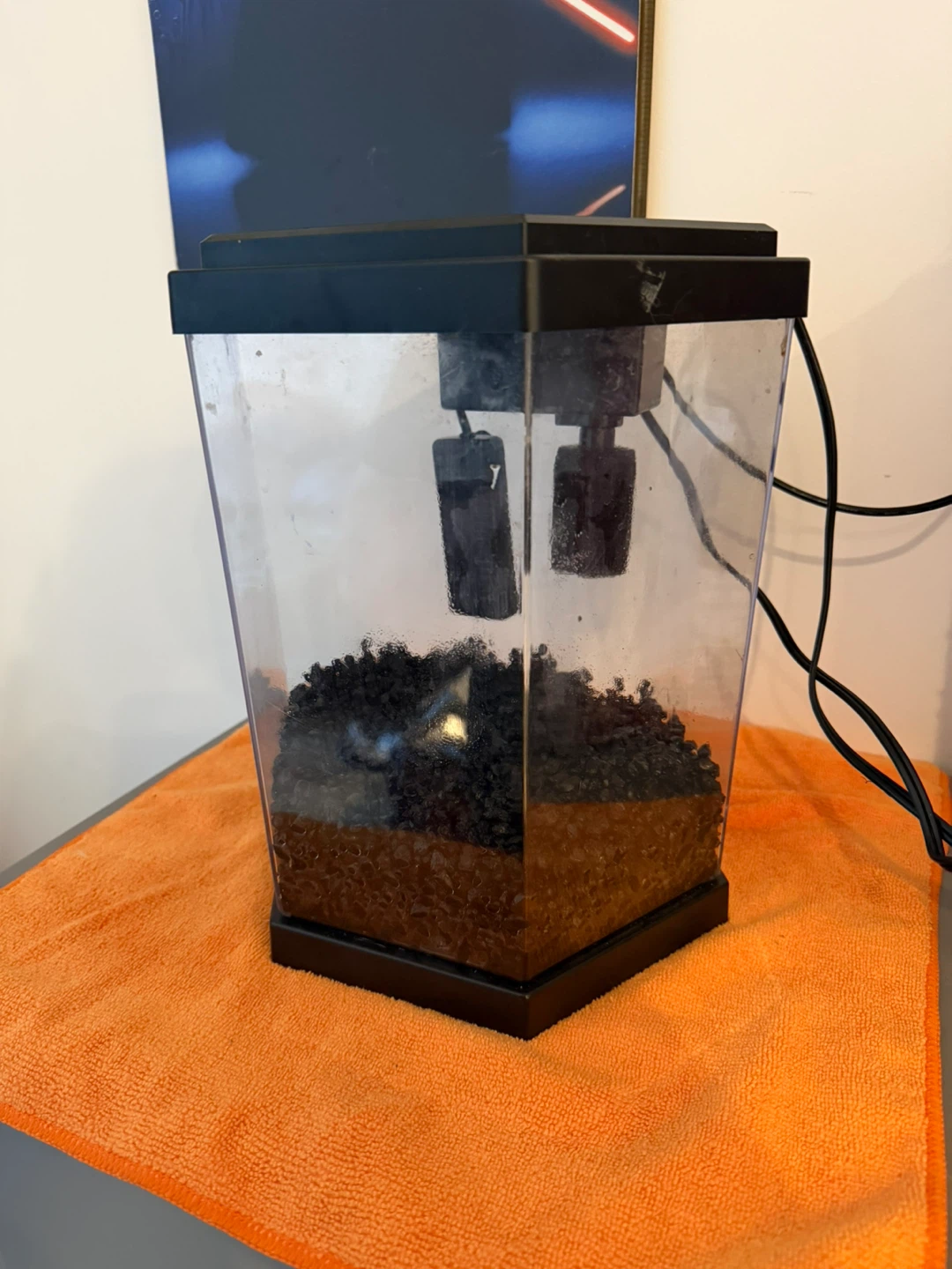 2 Gal Desktop Aquarium with everything you need!