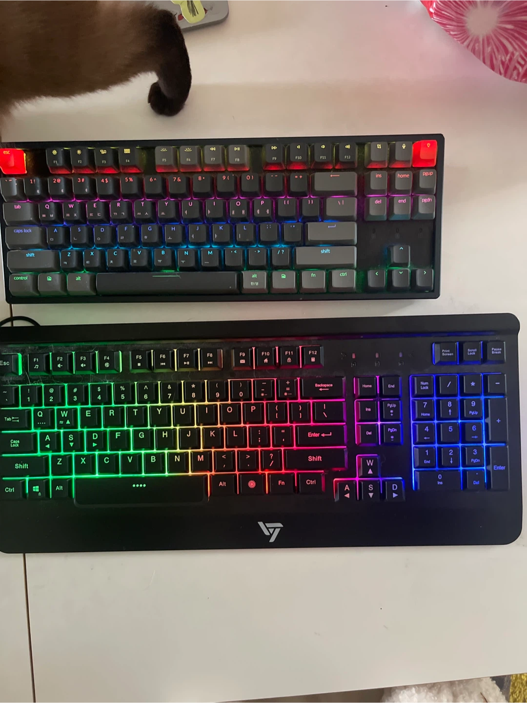 Keychron K8 Mechanical Keyboard and Viluxe Keyboard - photo 5