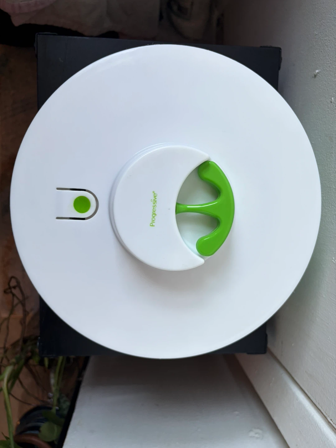 Salad spinner