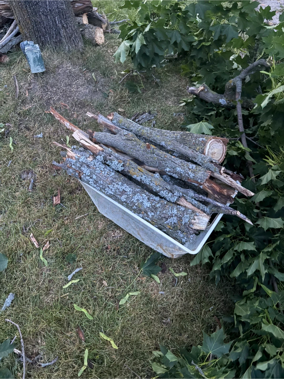 Free wood on curb - photo 3