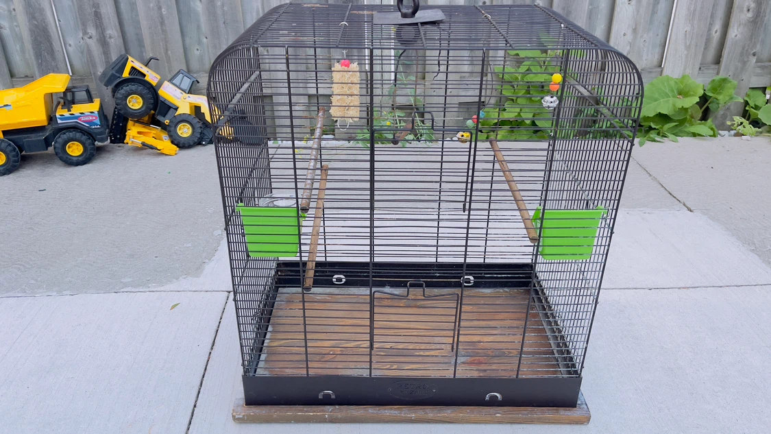 Bird Cage with Perches and Feeders