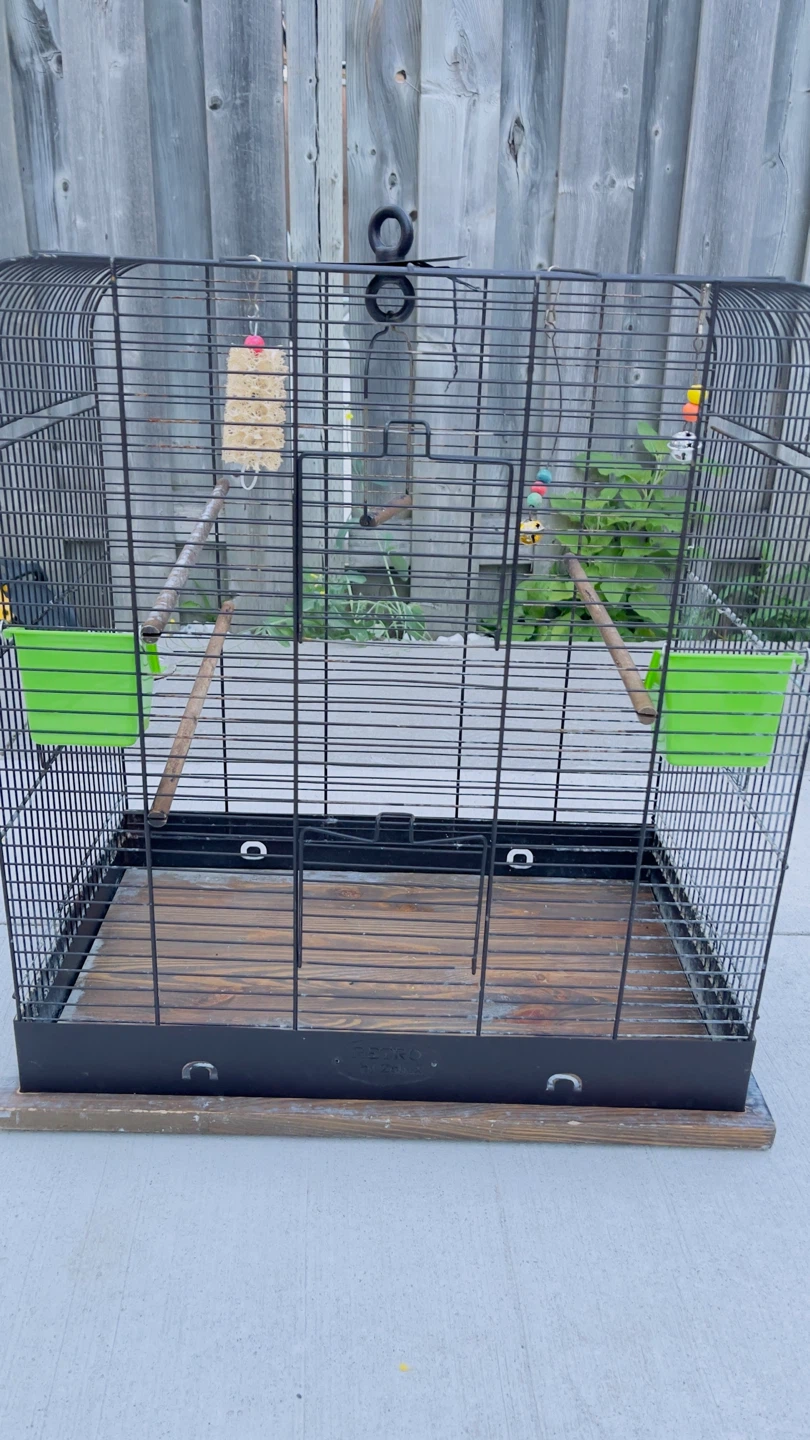 Bird Cage with Perches and Feeders - photo 4