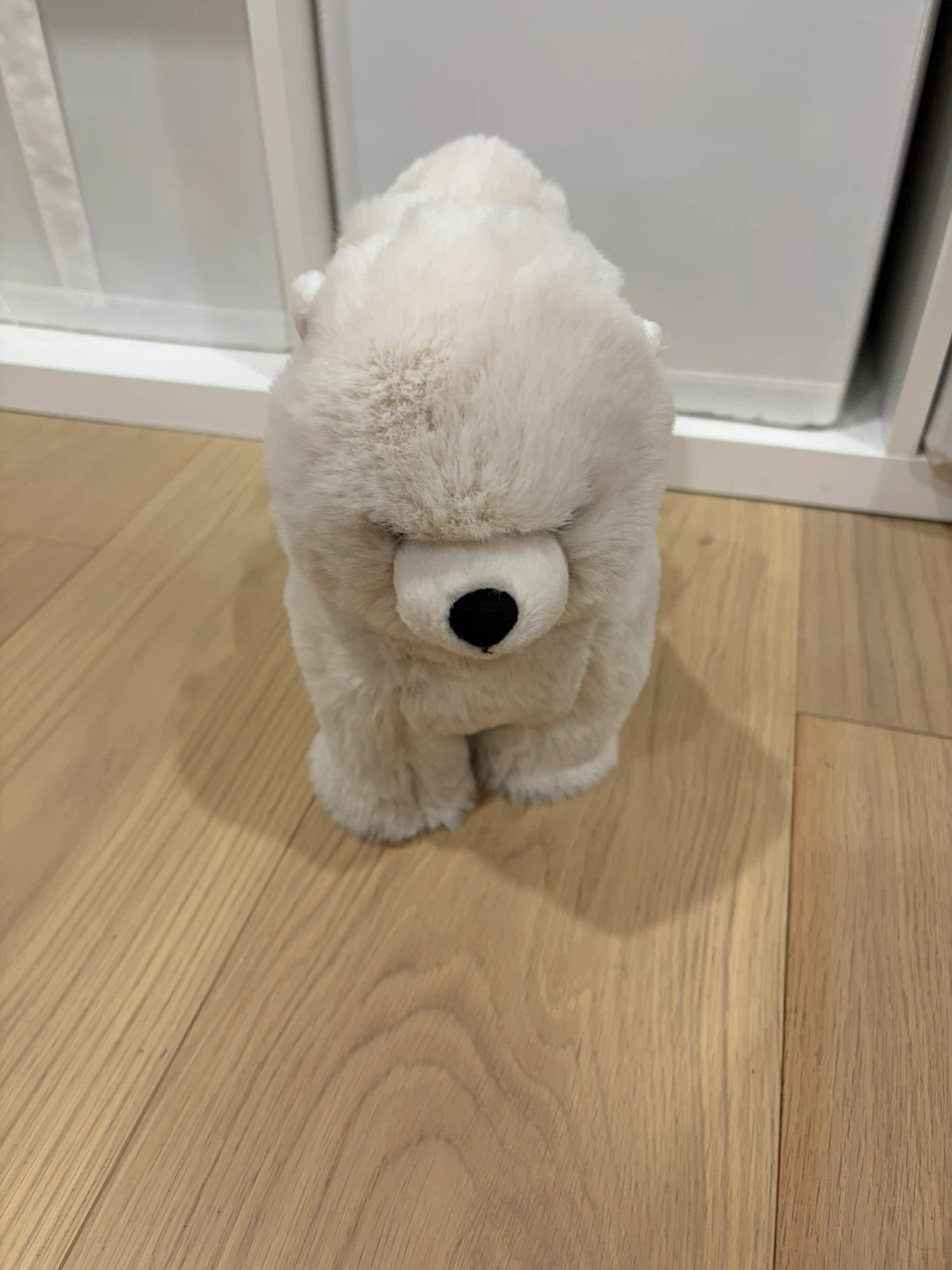 Retired Daphne Pomeranian Jellycat Plush
