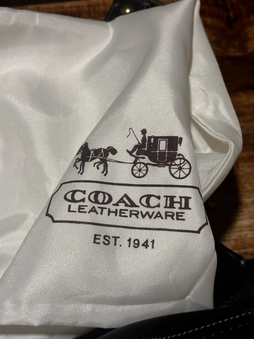 Coach Carly Hobo Handbag //Negotiable - photo 5