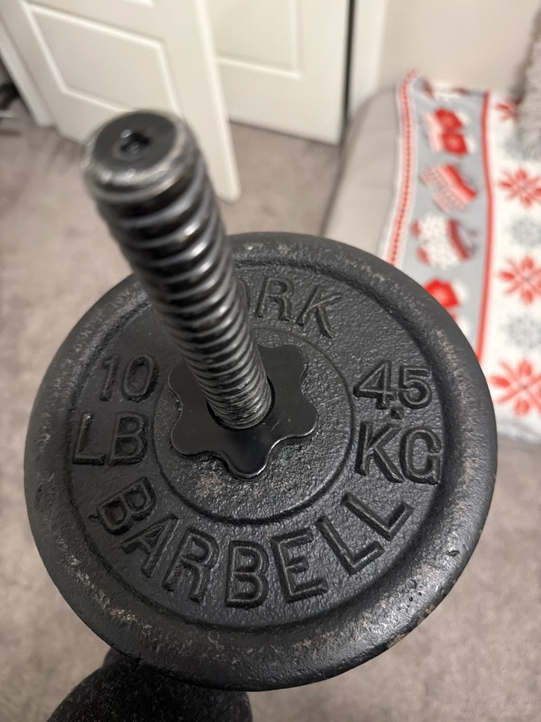 Full Body EZ curls Bar workout - photo 2