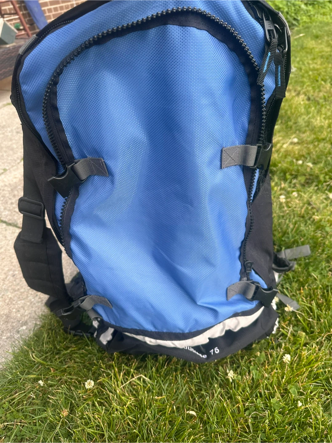 Europe Bound  75L Camping Backpack - photo 2