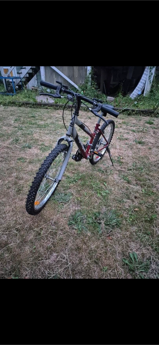 Mountain Bike - Red and Silver - photo 2