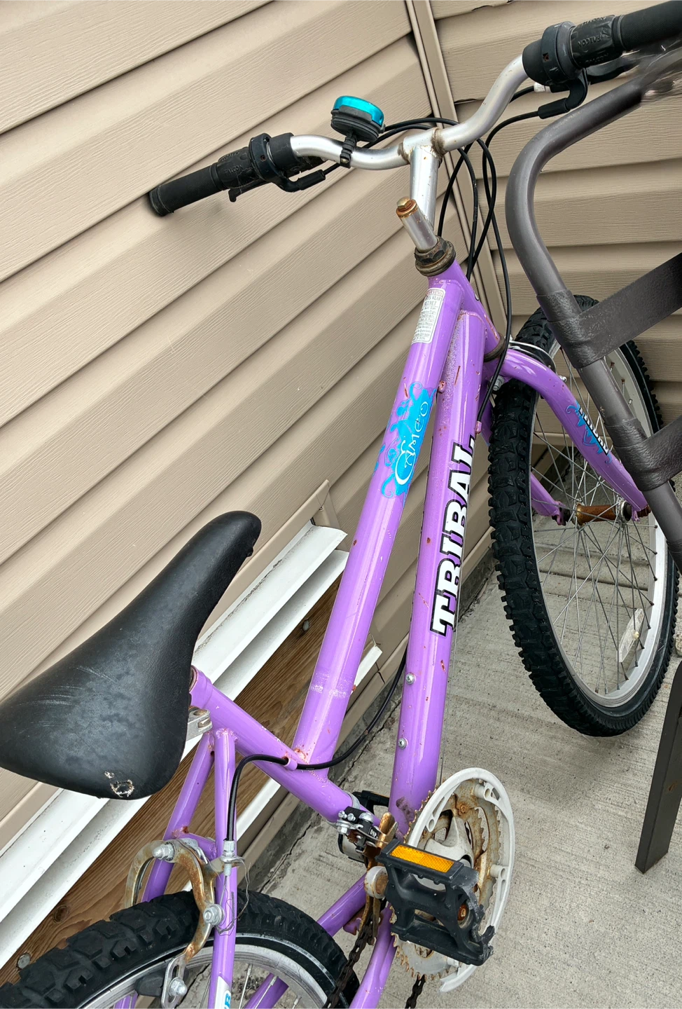 Skateboard & Bike - photo 3