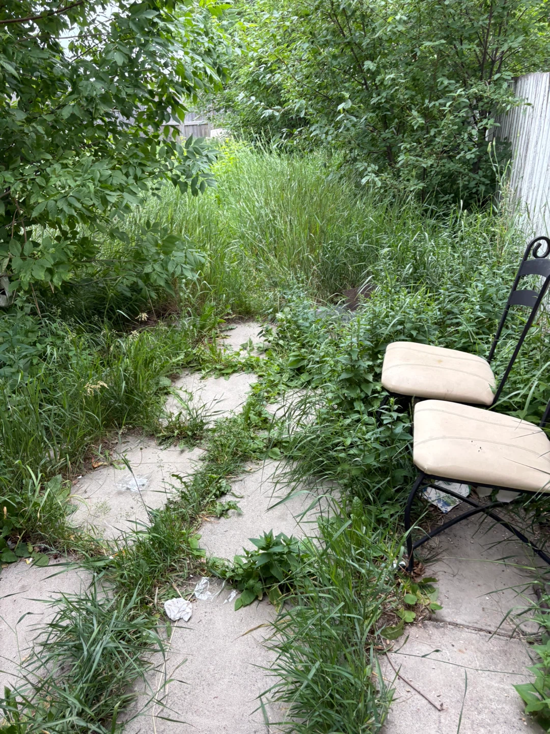 Prime Scapes Land Scaping (FREE QUOTES) - photo 2