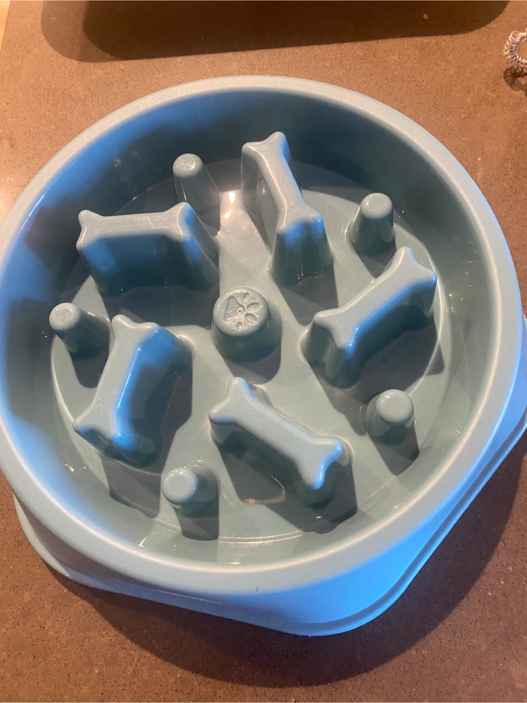 Light Blue Pet Slow Feeder Bowl