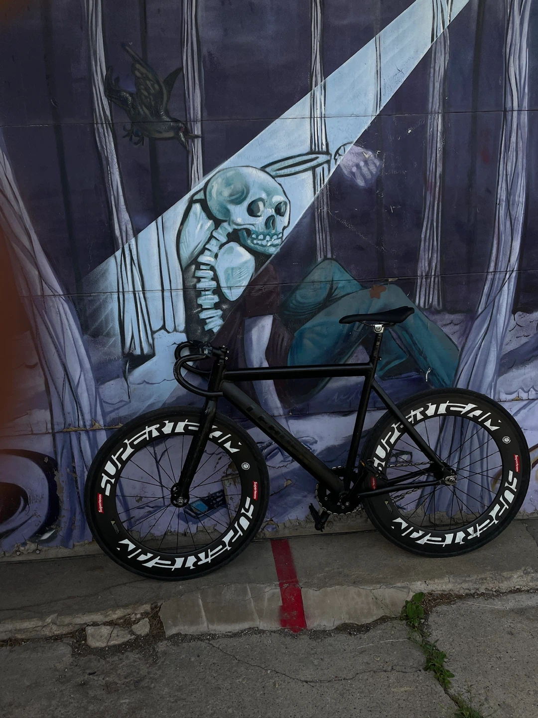 Leader fixie - photo 4