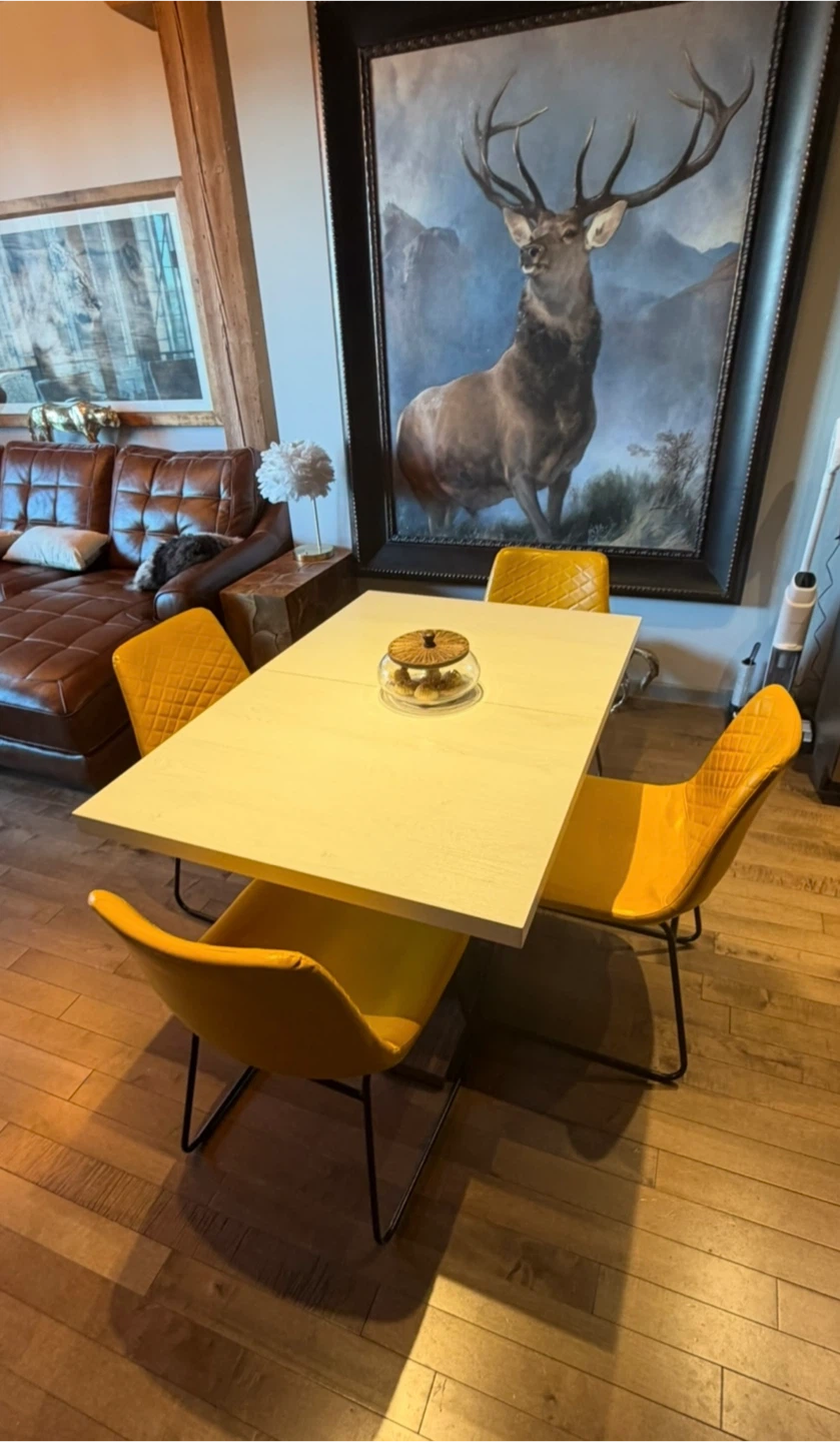 Modern Dining Table with 4 Chairs