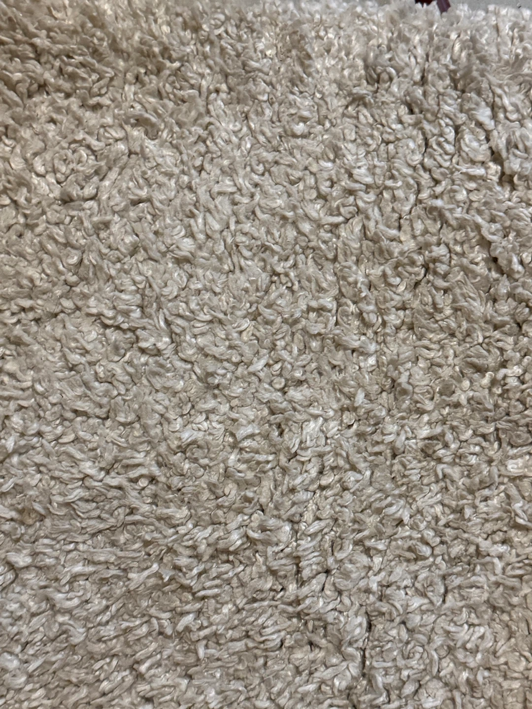 Brooklyn Supersoft Shag Area Rug - photo 2