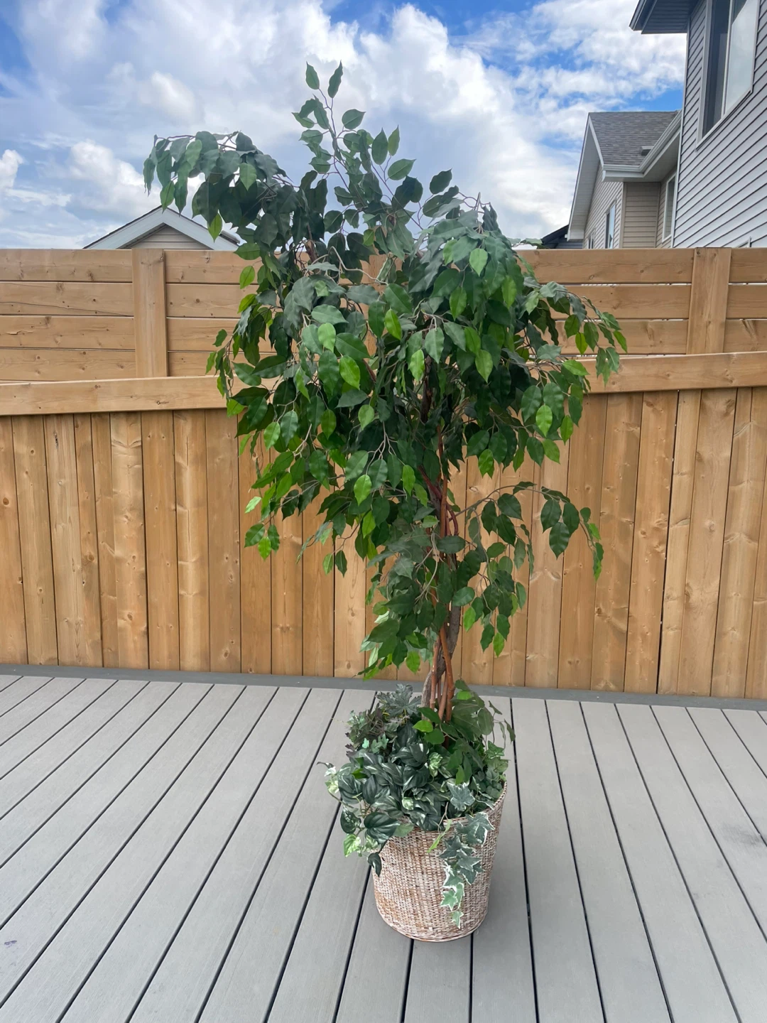 Artificial Ficus Tree