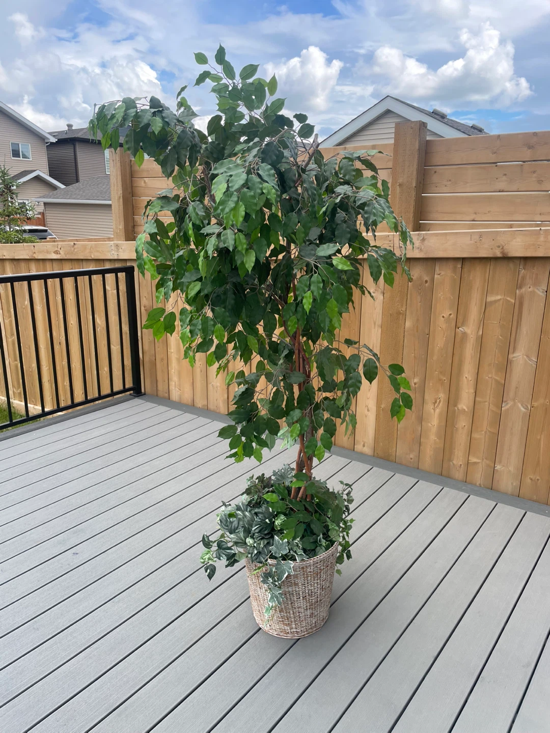 Artificial Ficus Tree - photo 2