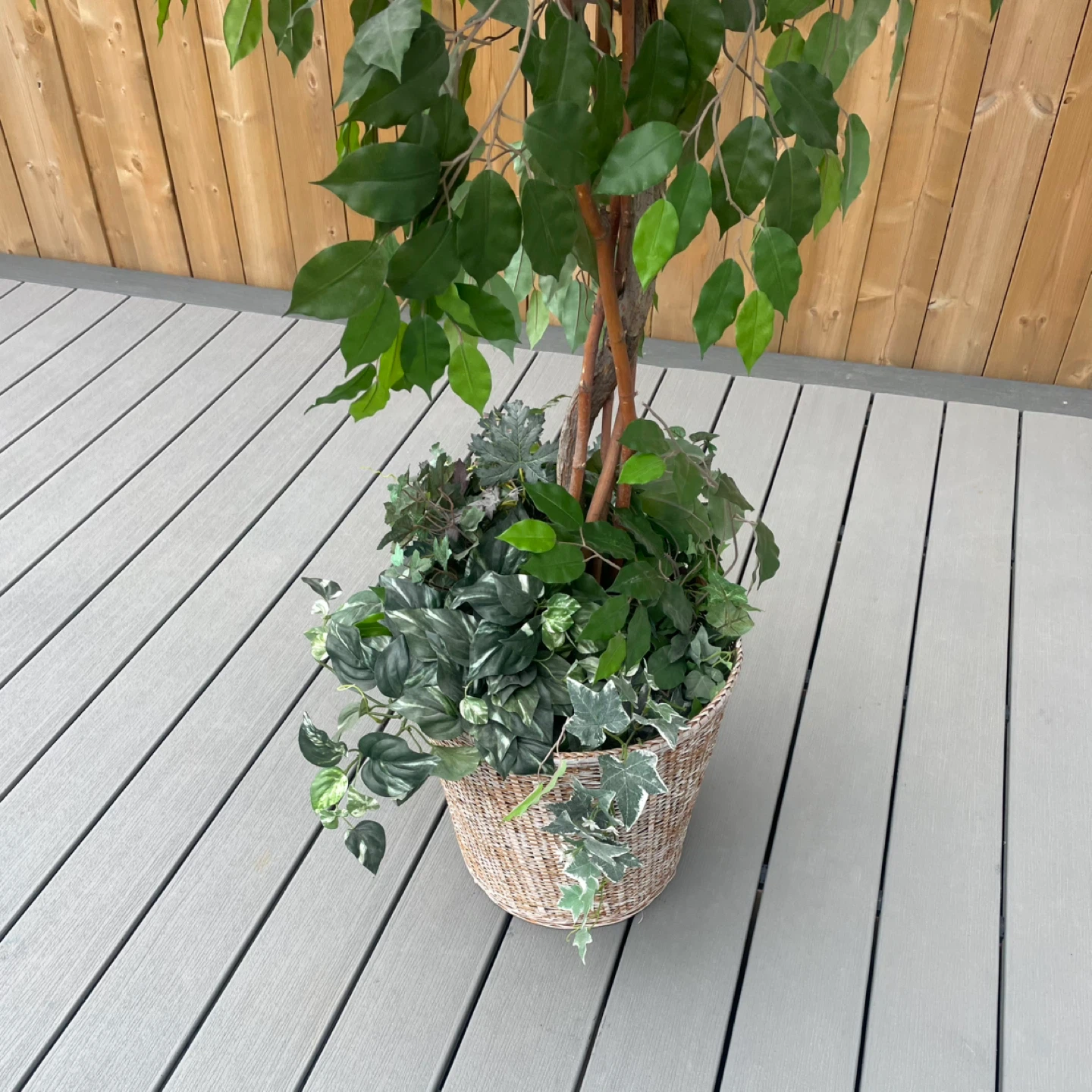 Artificial Ficus Tree - photo 4