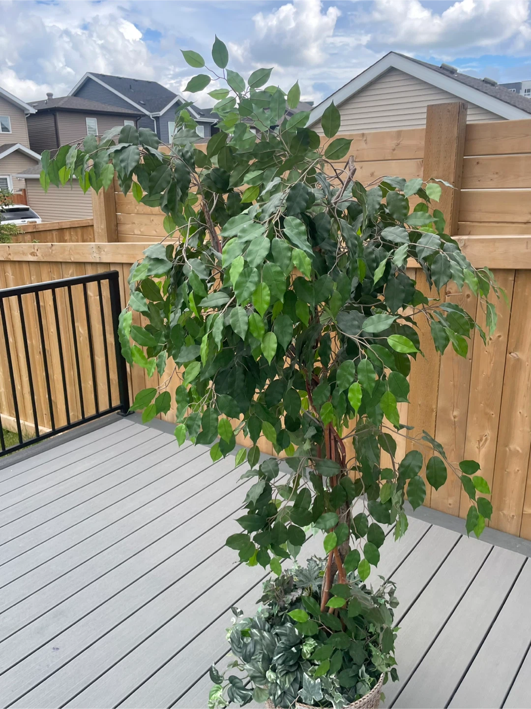 Artificial Ficus Tree - photo 3
