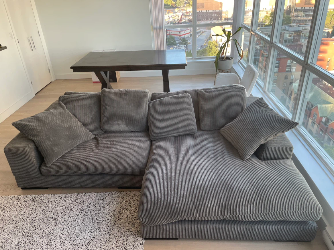 Moe’s Plunge Sectional (Charcoal)