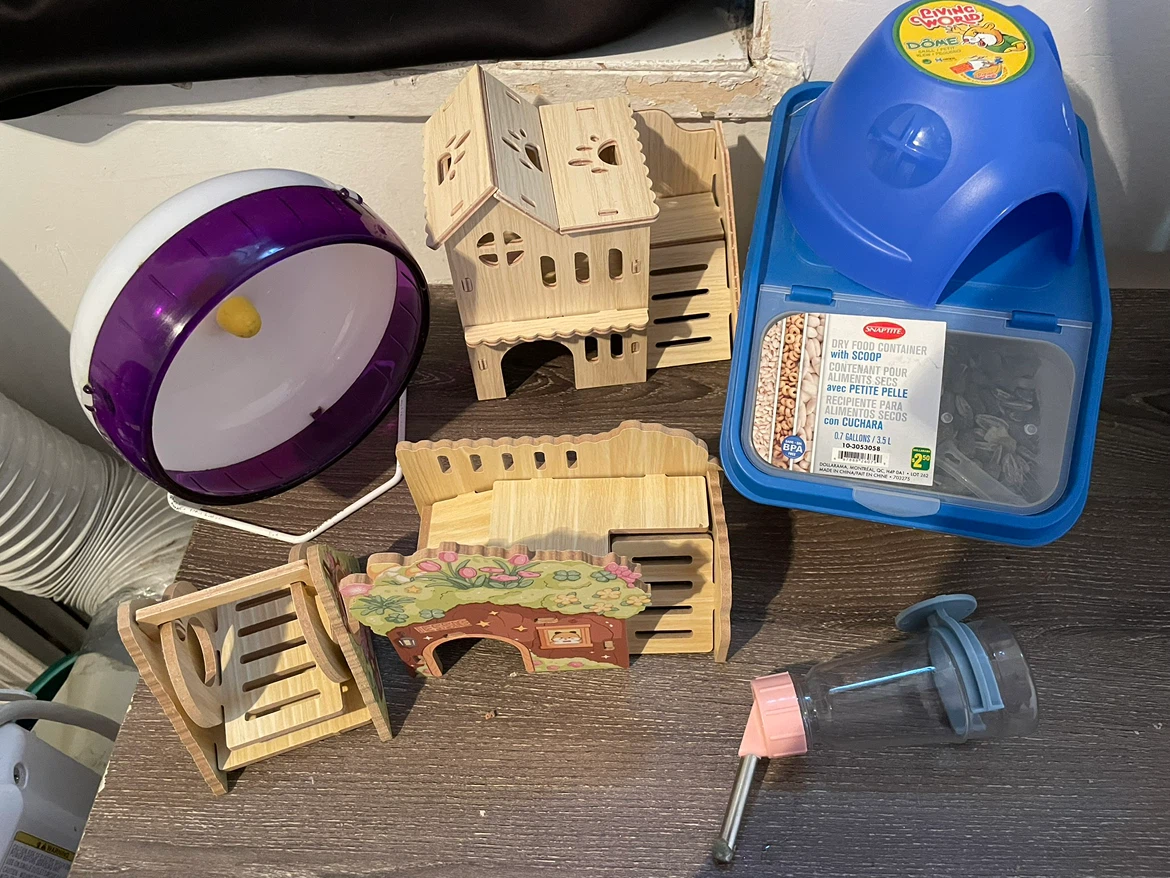 Dwarf Hamster Supplies Lot