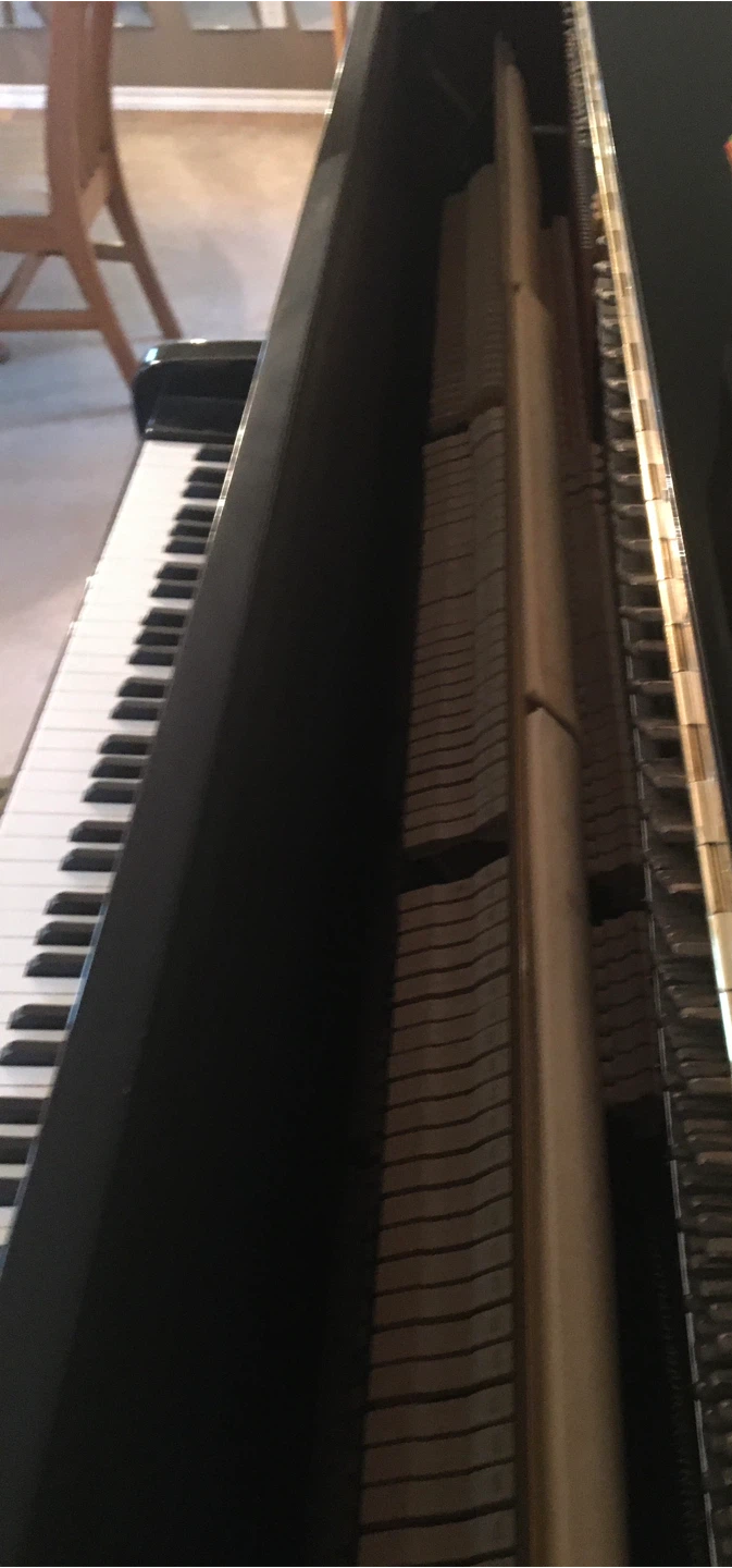 Pristine Wagner Upright Piano with Bench - photo 4