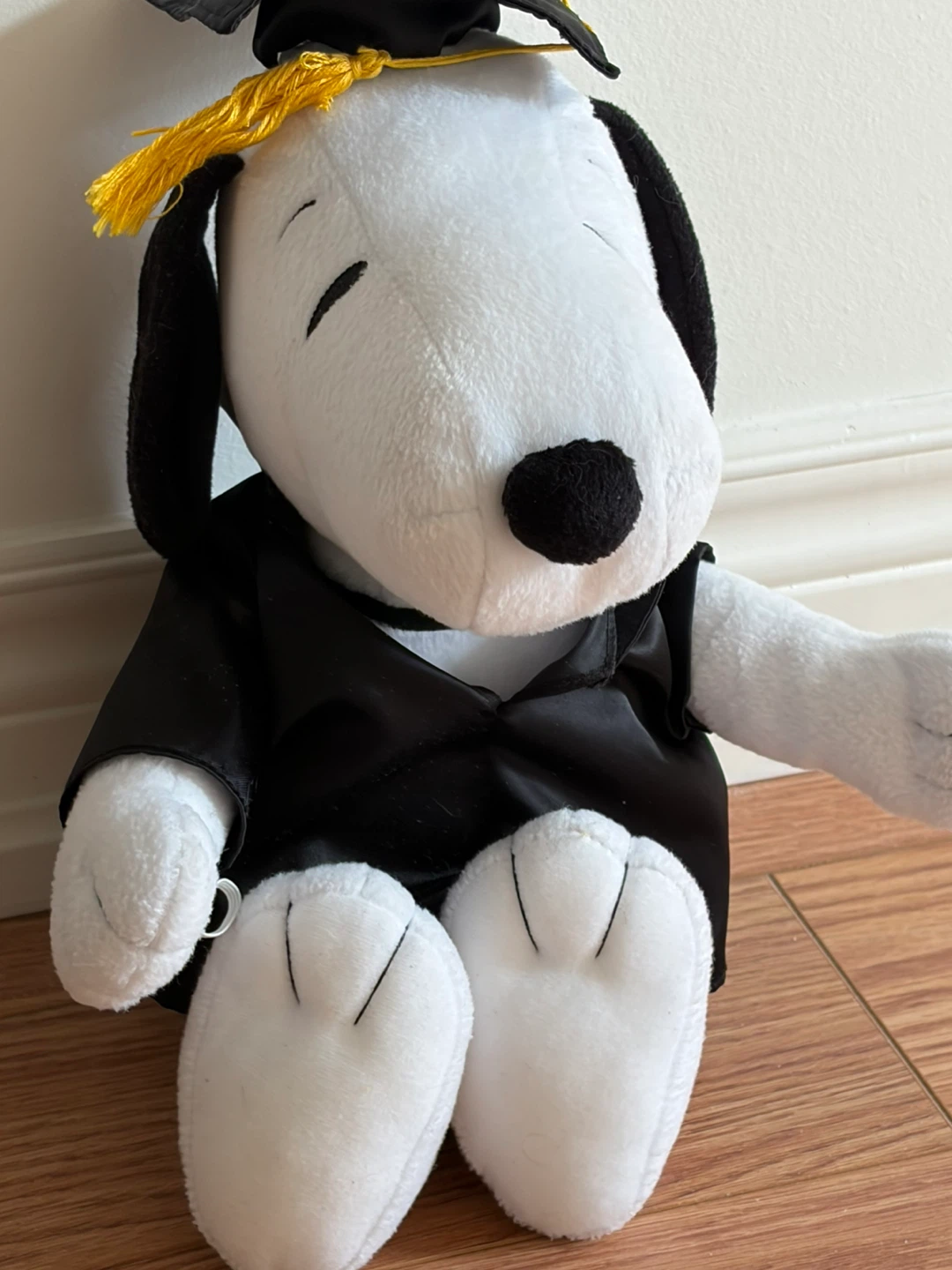 Snoopy Plush Graduation Toy