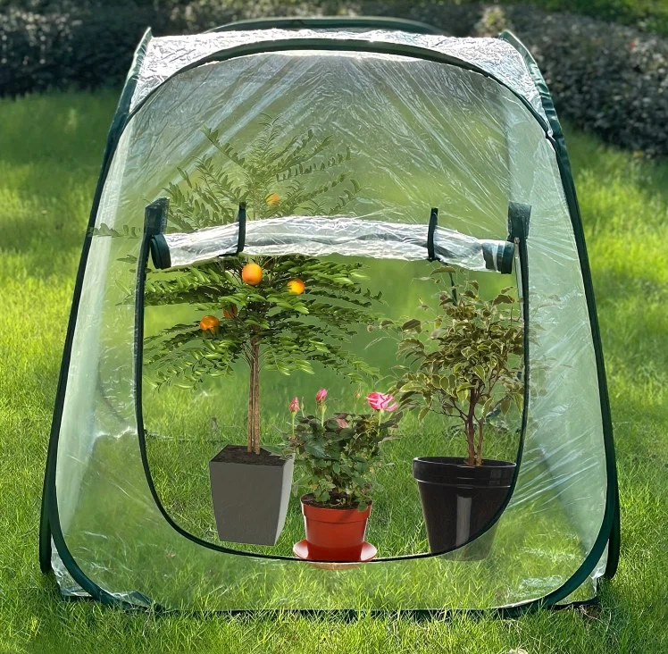Green Pop-Up Mini Greenhouse