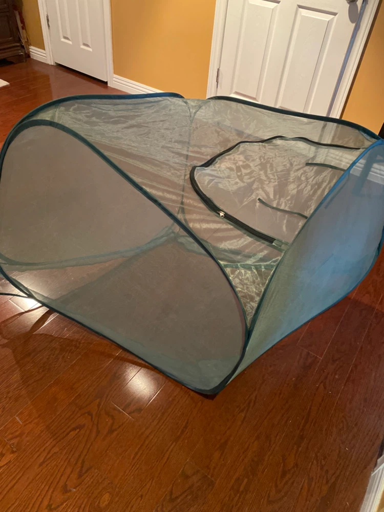 Green Pop-Up Mini Greenhouse - photo 2