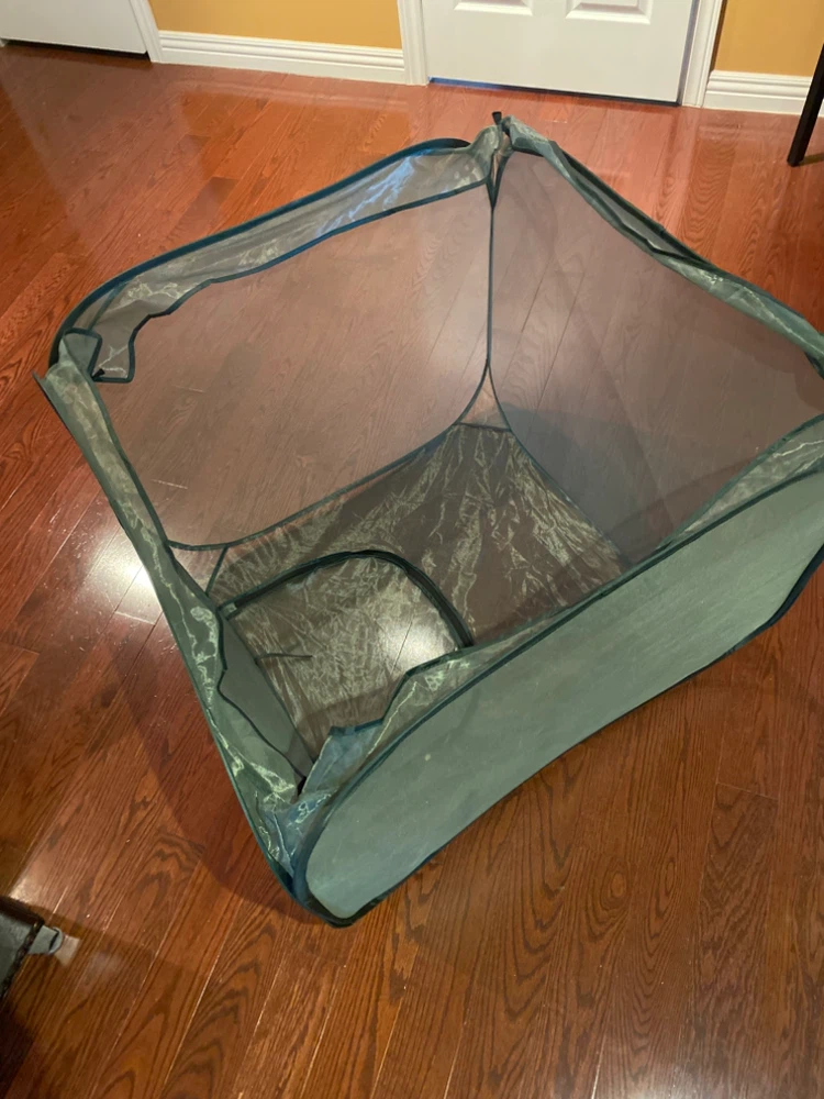 Green Pop-Up Mini Greenhouse - photo 3