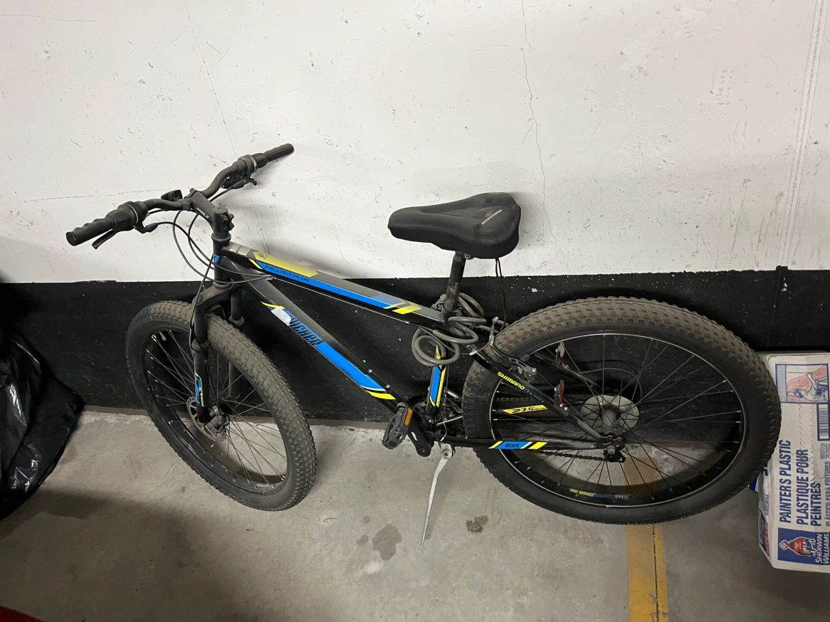 Shimano Wicked Fallout Plus Bike