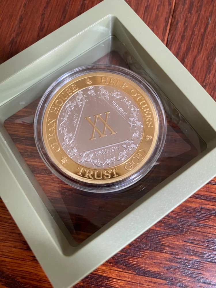 Gosin AA 20 Year Recovery Coin