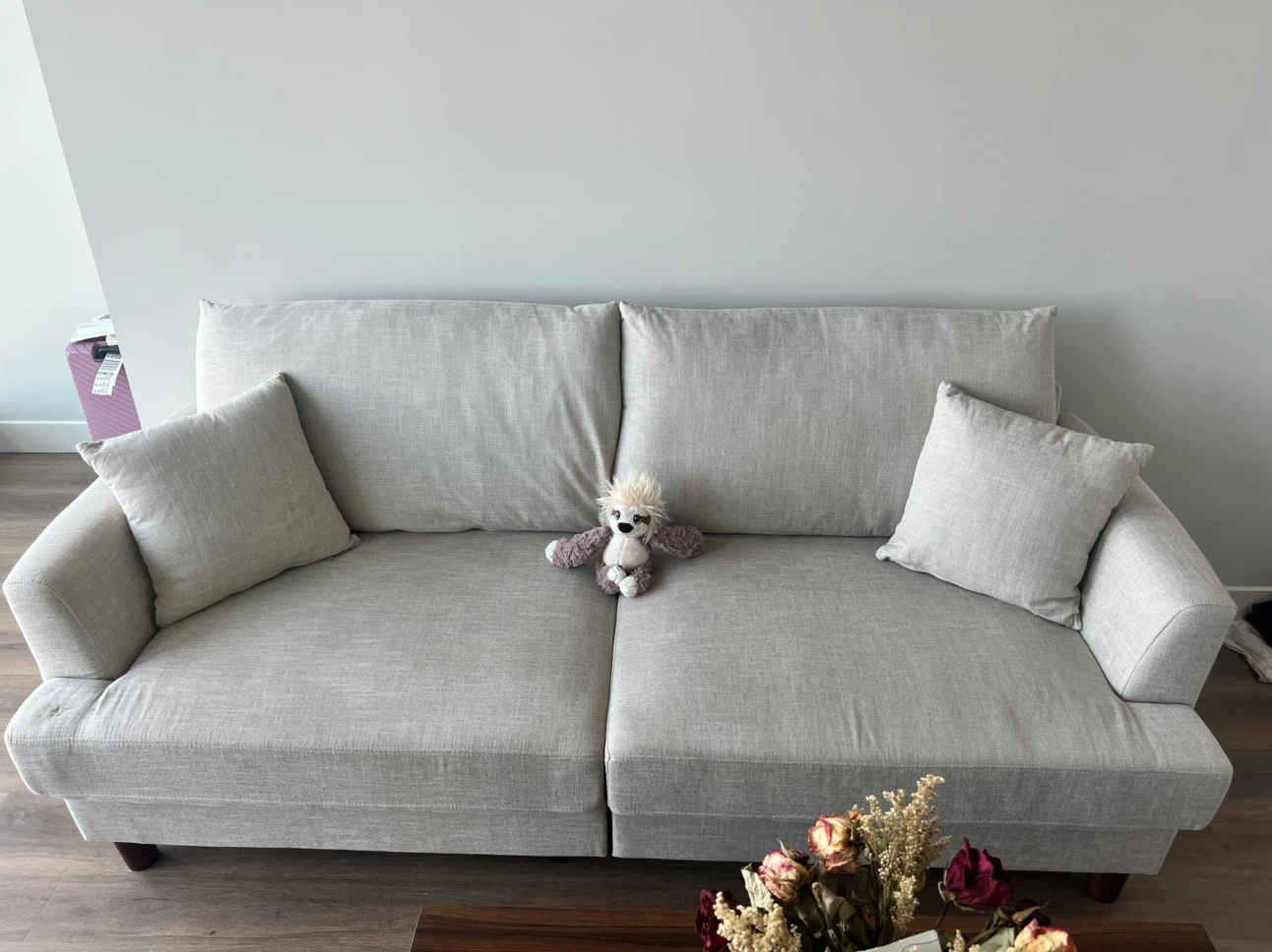 Beige Sofa with Pillows - photo 3