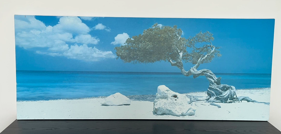 White rock on the beach picture