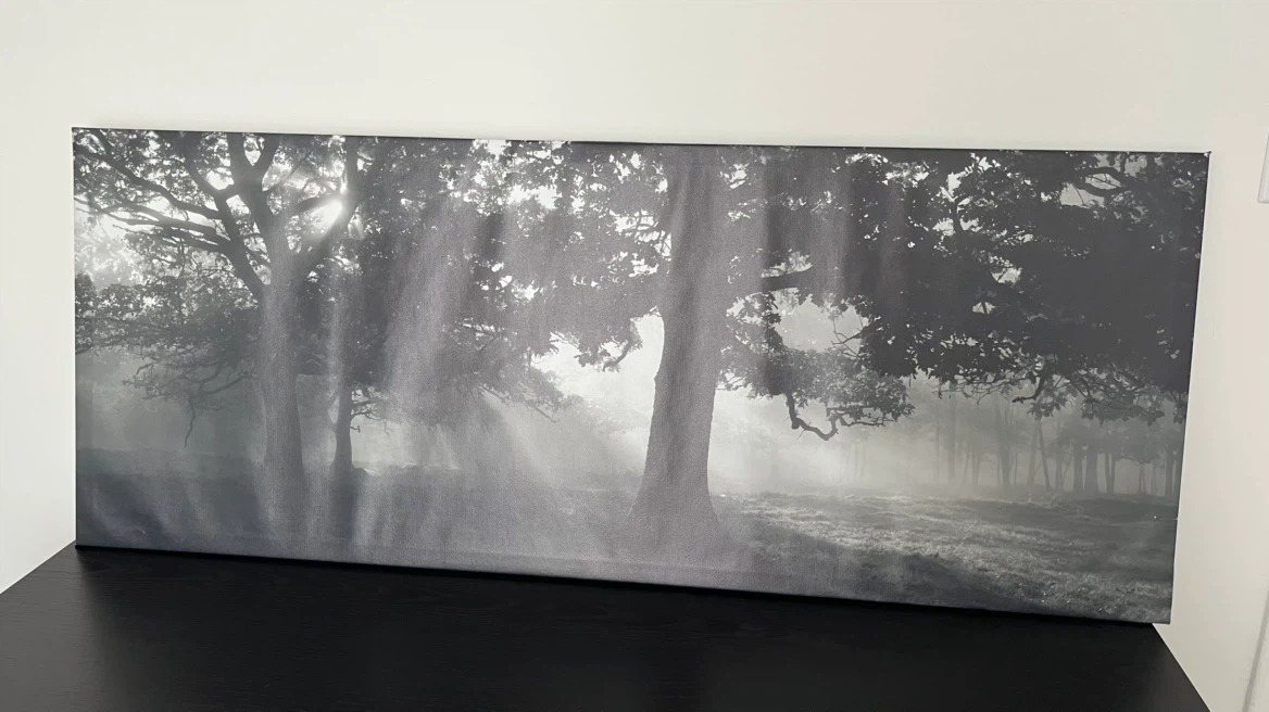 Forest Landscape Canvas Wall Art