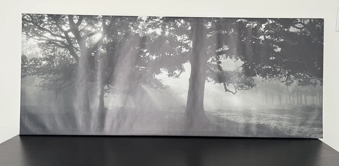 Forest Landscape Canvas Wall Art - photo 2