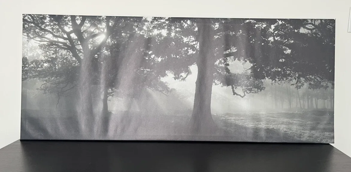 Forest Landscape Canvas Wall Art - photo 2