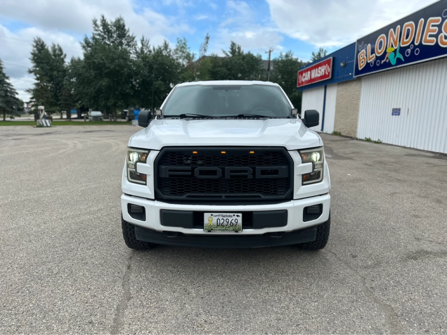 2016 Ford F-150 SAFTIED - photo 3