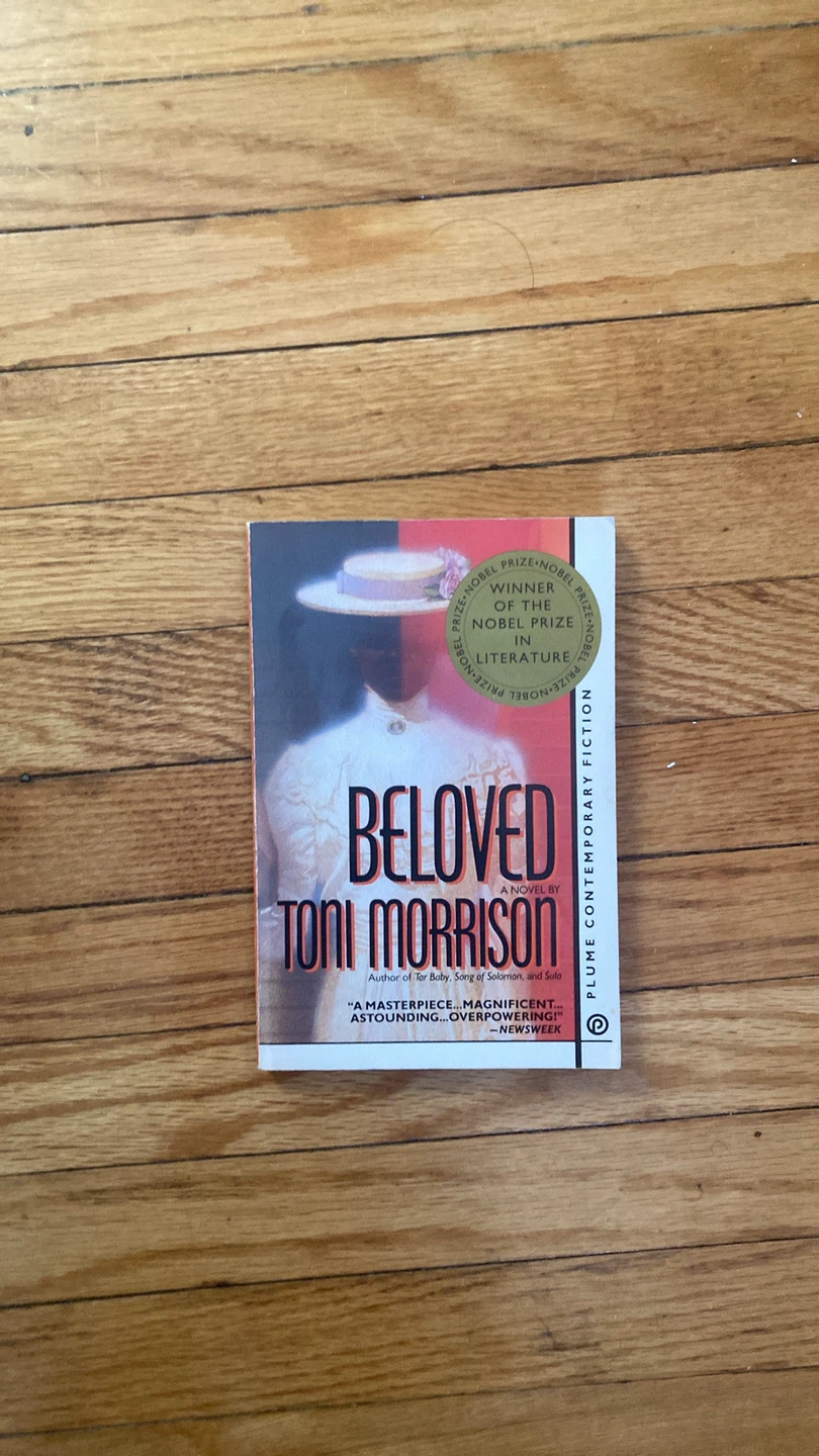 Beloved by Toni Morrison Novel
