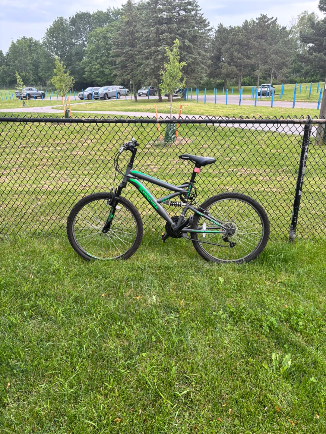 Supercycle outlook 24” tires - photo 3