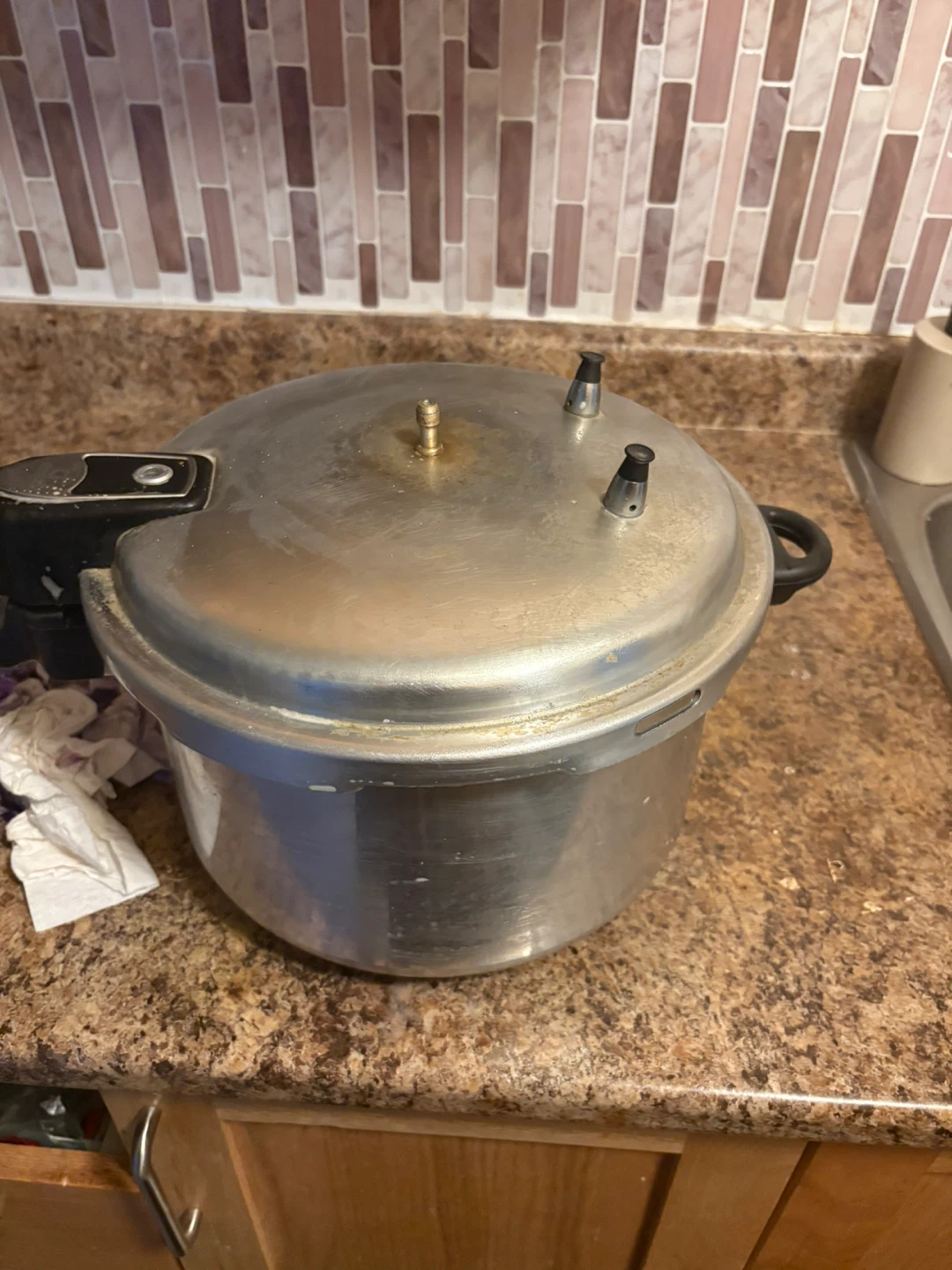 Pressure Cooker Pot
