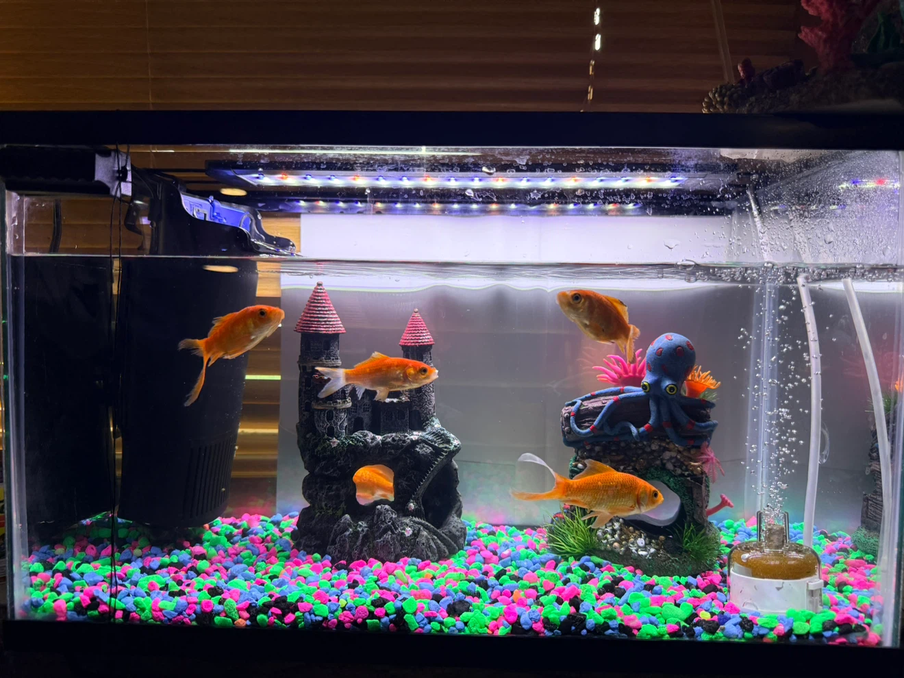 Aquarium with Castle and Octopus Decor