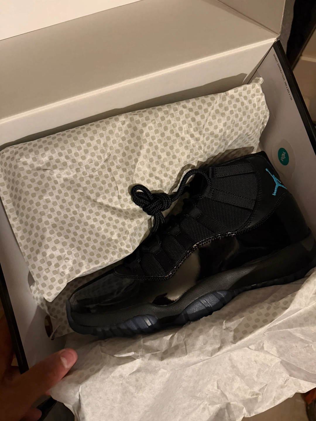 Air Jordan 11’s Retro DS 12.5