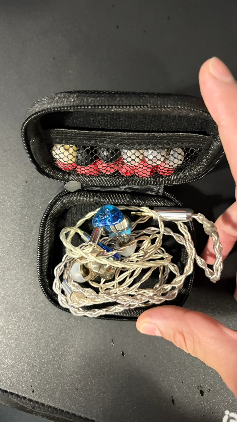 Kiwi Ears In-Ear Monitors with Case and Ear Tips - photo 2