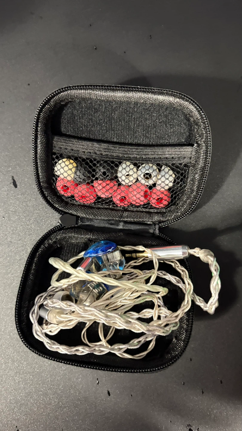 Kiwi Ears In-Ear Monitors with Case and Ear Tips