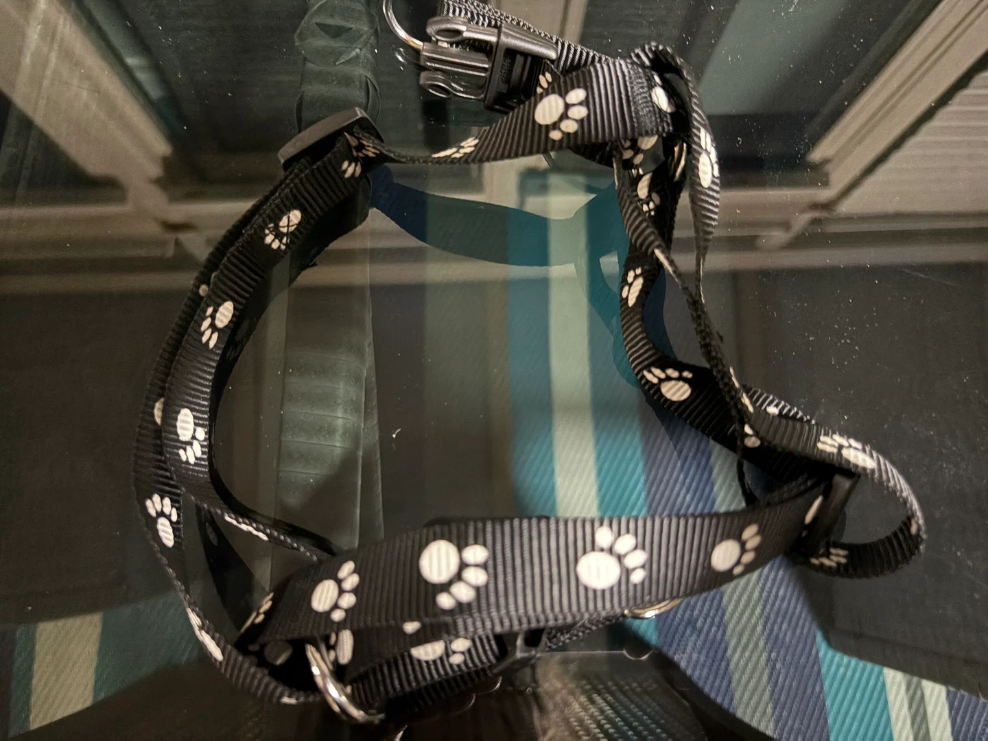 Harnais et laisse pour chien noir avec empreintes de pattes