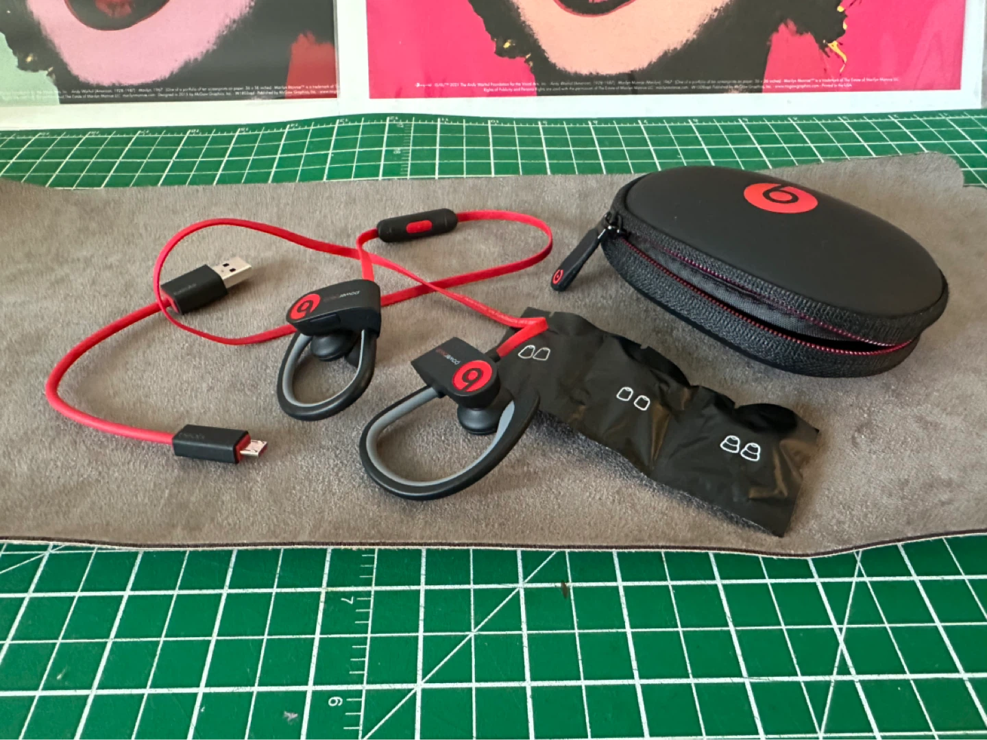 Beats Powerbeats Wireless Earbuds with Case
