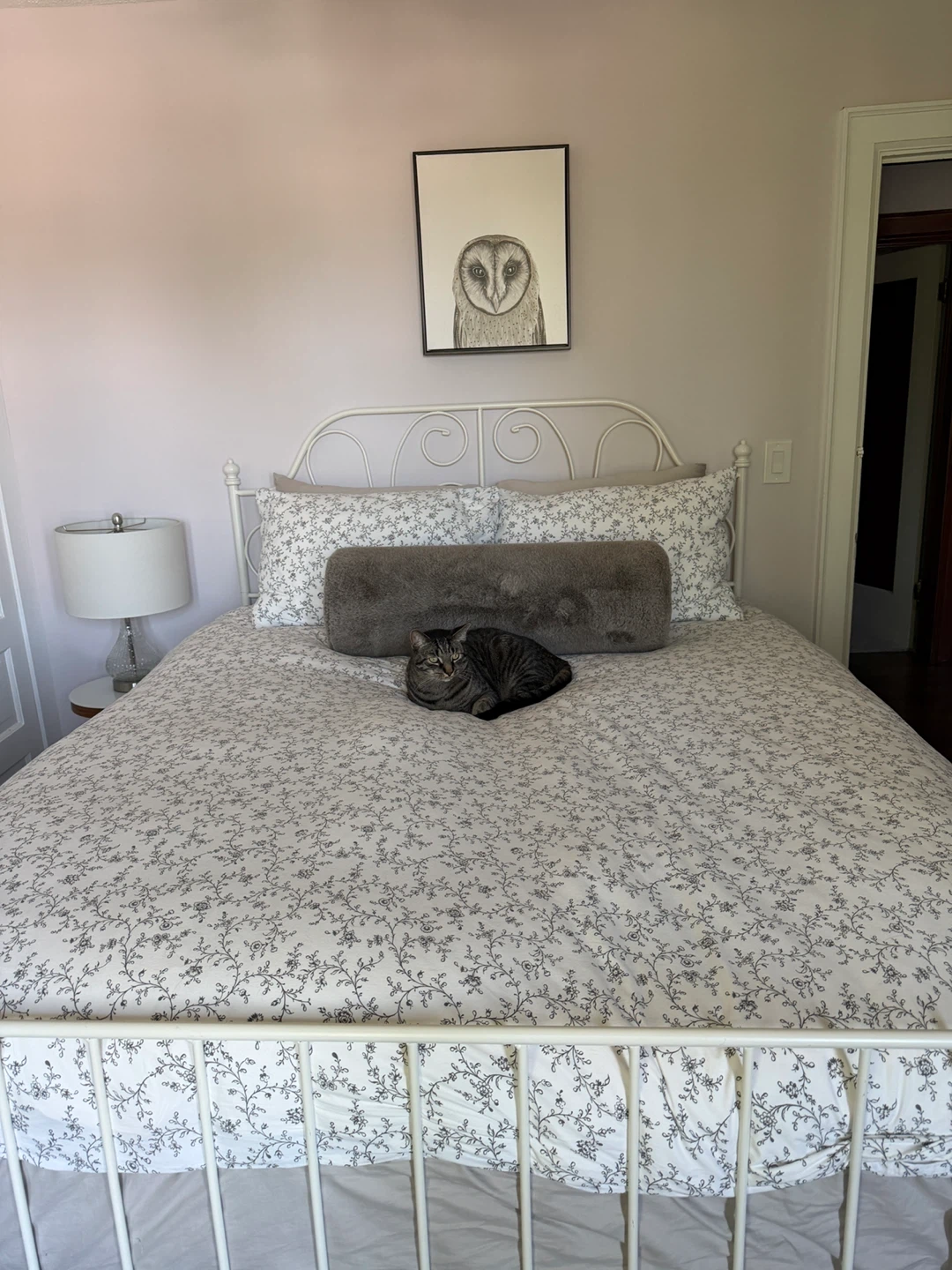 Free Bed! (Queen size)