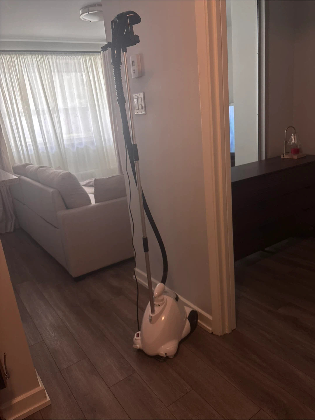 White Garment Steamer