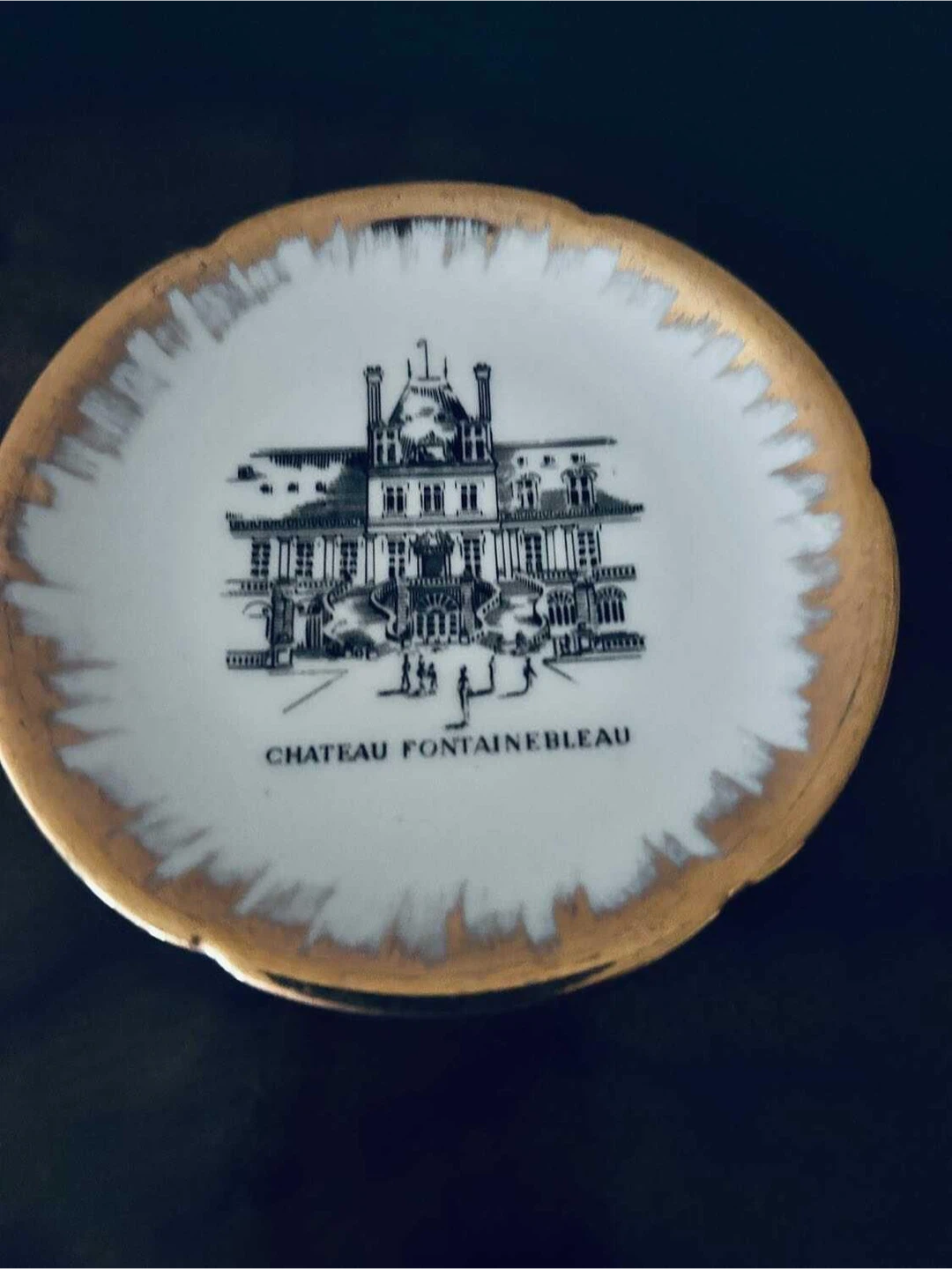 Limoges France Chateau Fontainebleau Display Plate